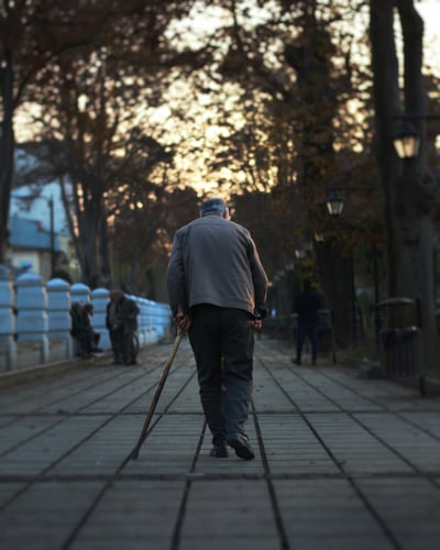 aref-javadi-rjF2csA8Vtk-unsplash